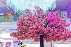 Chandni Victoria